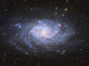 Triangulum Galaxy - M33 