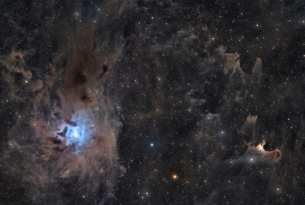 Iris & Ghost Nebulae - NGC 7023 - vdB 141 by Dean MacDonald Photos
