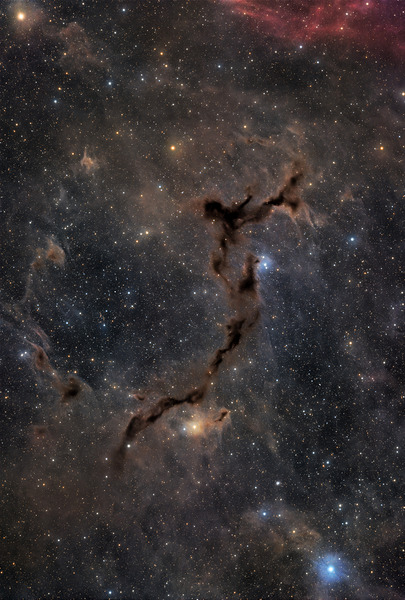Seahorse Nebula - Barnard 150 by Dean MacDonald Photos