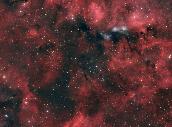 NGC 6914 by Dean MacDonald Photos