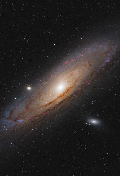 Andromeda Galaxy - M31 - 2024 Print