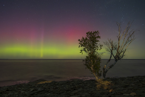 Rush Cove Aurora by Dean MacDonald Photos