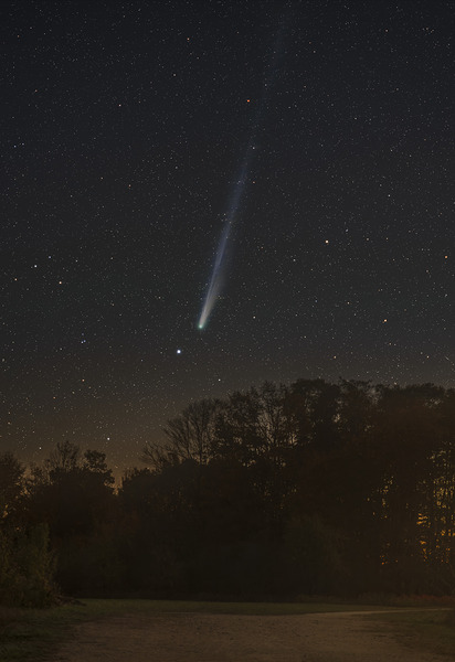 Comet Lemmon from Cobble Beach Print