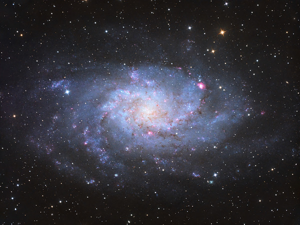 Triangulum Galaxy - M33  Print