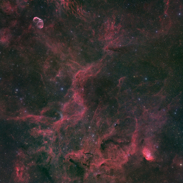 Crescent Nebula Wolf-Rayet 134 & Tulip Nebula - NGC 6888 - WR 134 - Sh2-101 by Dean MacDonald Photos