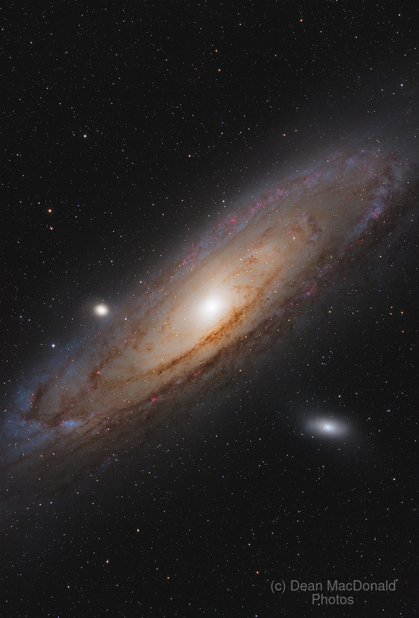 Andromeda Galaxy - M31 - 2024  Print