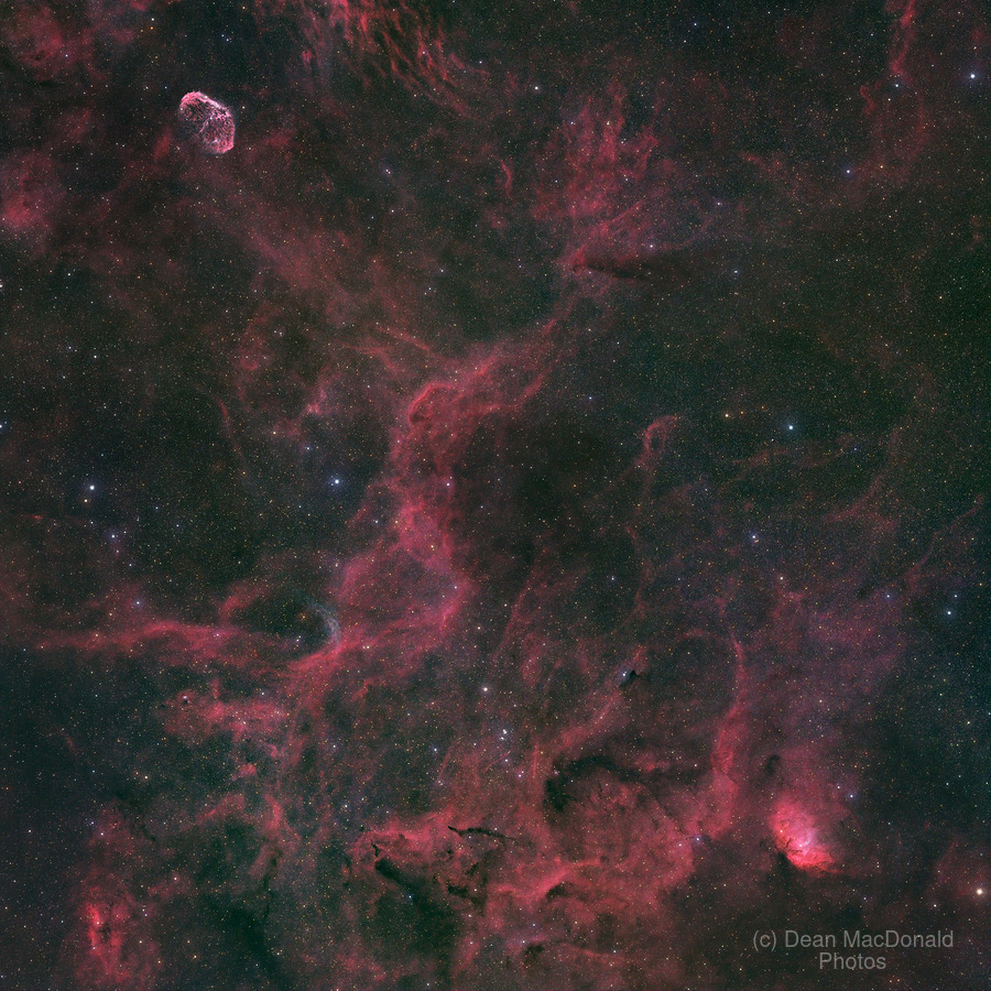 Crescent Nebula Wolf-Rayet 134 & Tulip Nebula - NGC 6888 - WR 134 - Sh2-101  Print