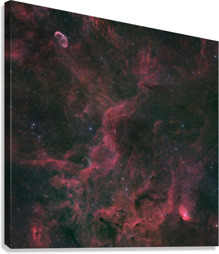 Crescent Nebula Wolf-Rayet 134 & Tulip Nebula - NGC 6888 - WR 134 - Sh2-101 Canvas Print