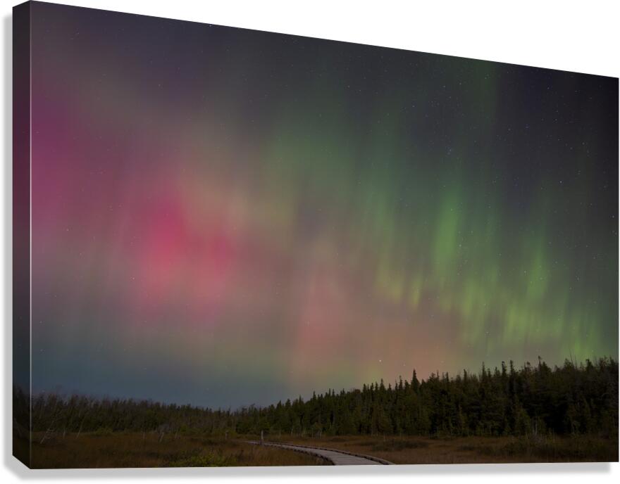 Oliphant Fen Aurora Canvas Print