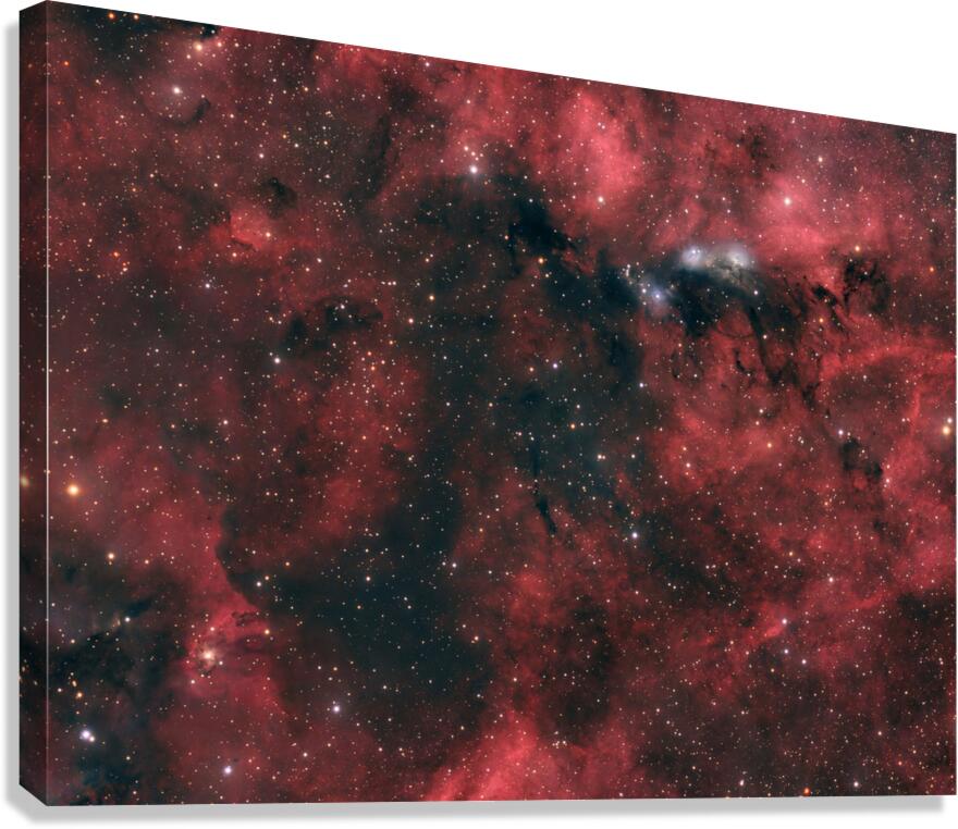 NGC 6914 Canvas Print