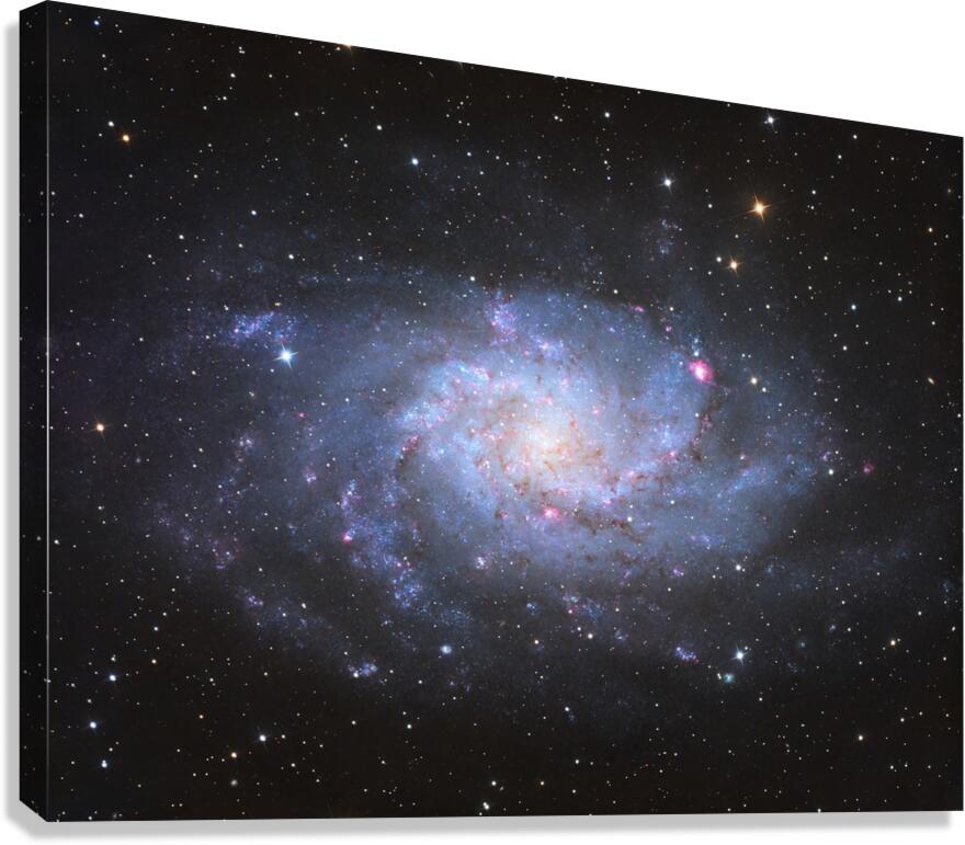 Triangulum Galaxy - M33  Canvas Print
