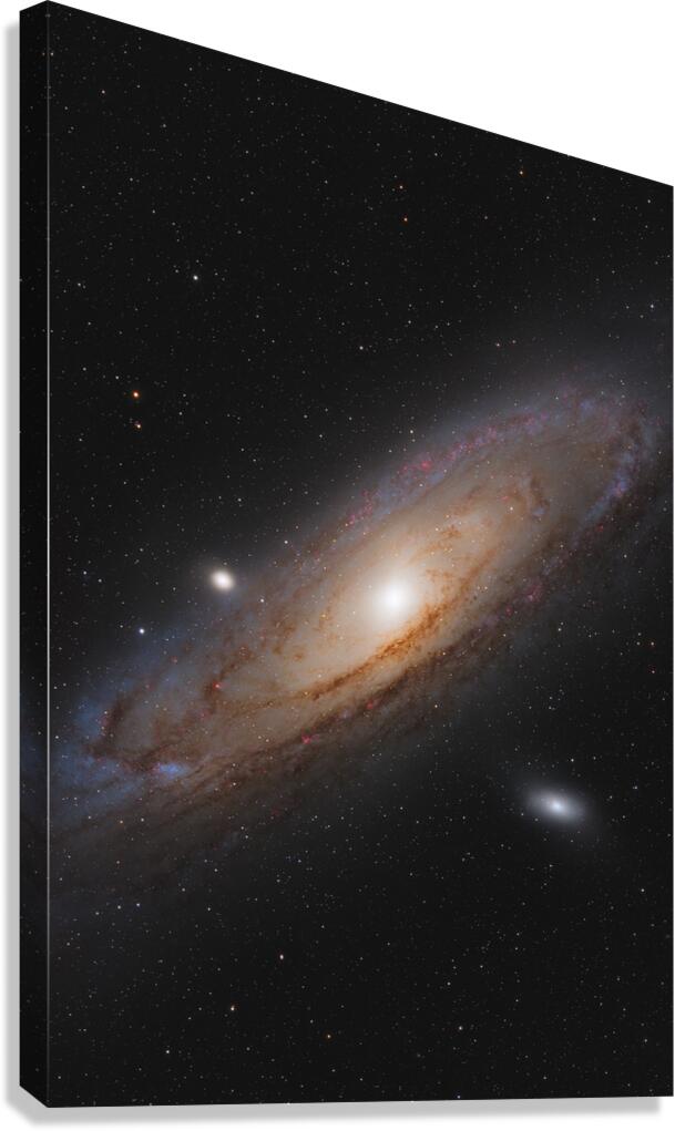 Andromeda Galaxy - M31 - 2024 Canvas Print