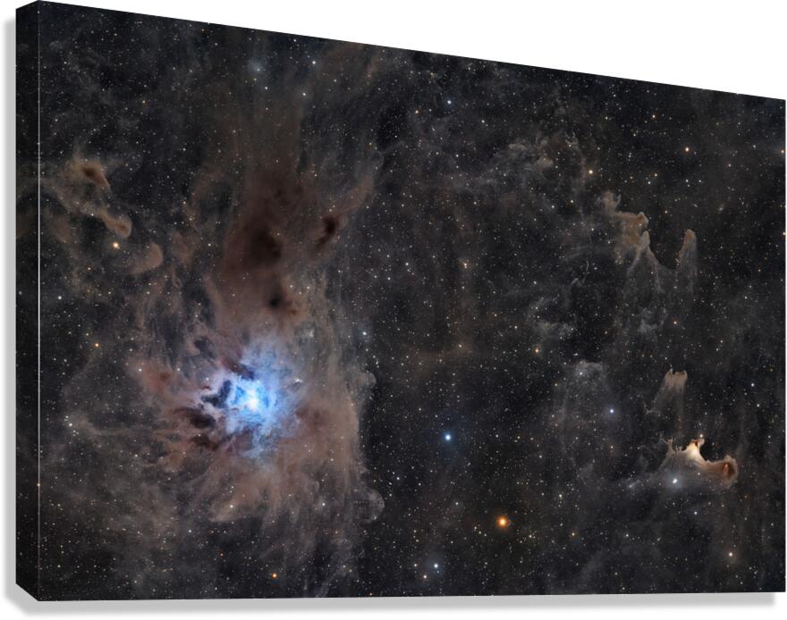 Iris & Ghost Nebulae - NGC 7023 - vdB 141 Canvas Print