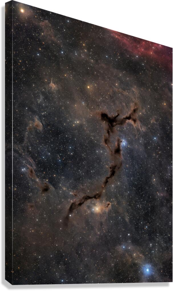 Seahorse Nebula - Barnard 150 Canvas Print