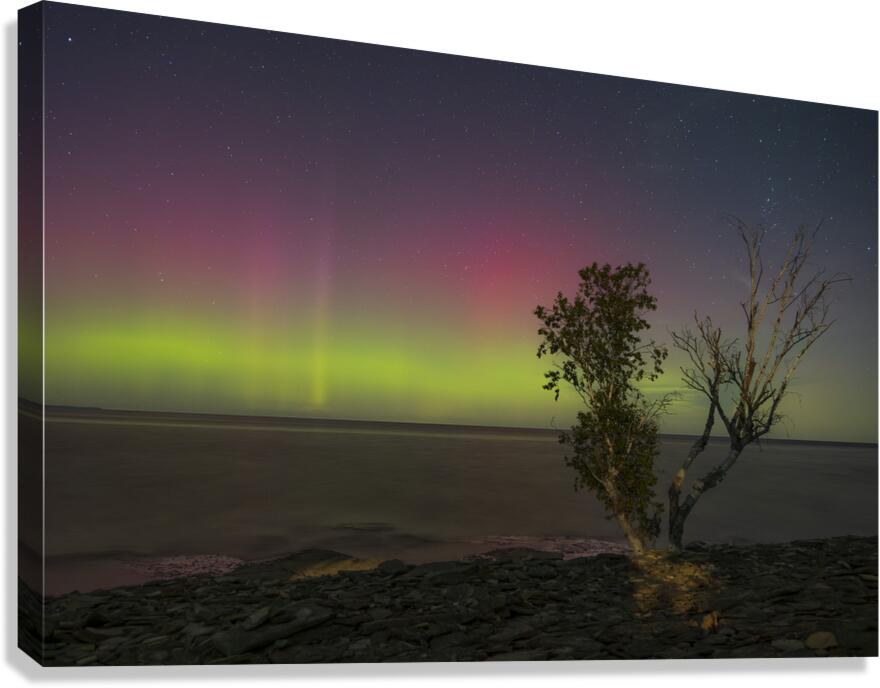 Rush Cove Aurora Canvas Print