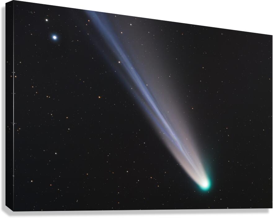 Comet C 2025 A6 - Lemmon Canvas Print