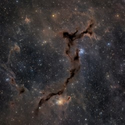 Seahorse Nebula - Barnard 150