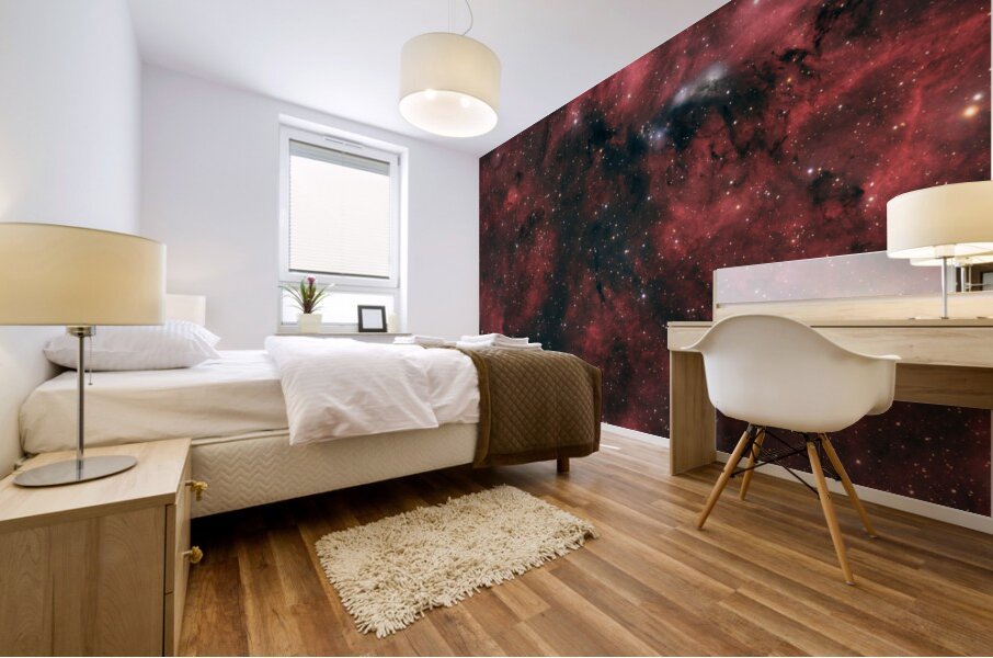NGC 6914 Mural print