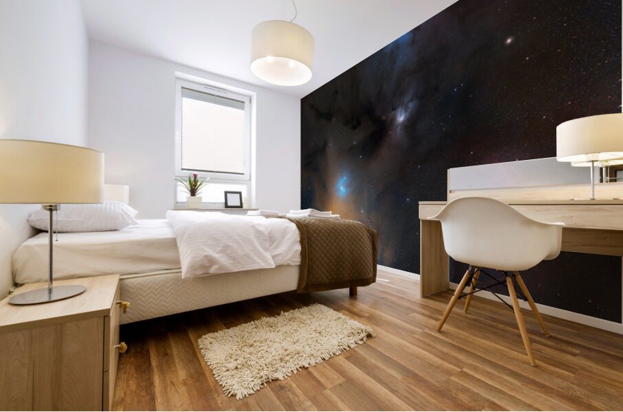 Rho Ophiuchi Cloud Complex Mural print