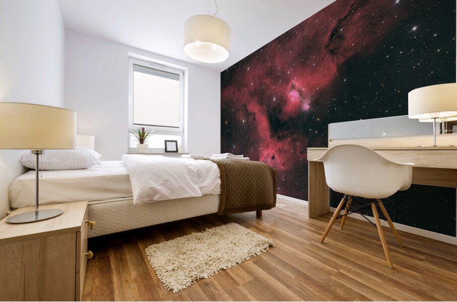 Soul Nebula - IC 1848 Mural print