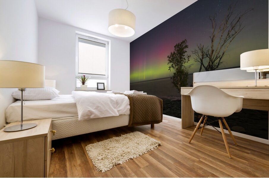 Rush Cove Aurora Mural print