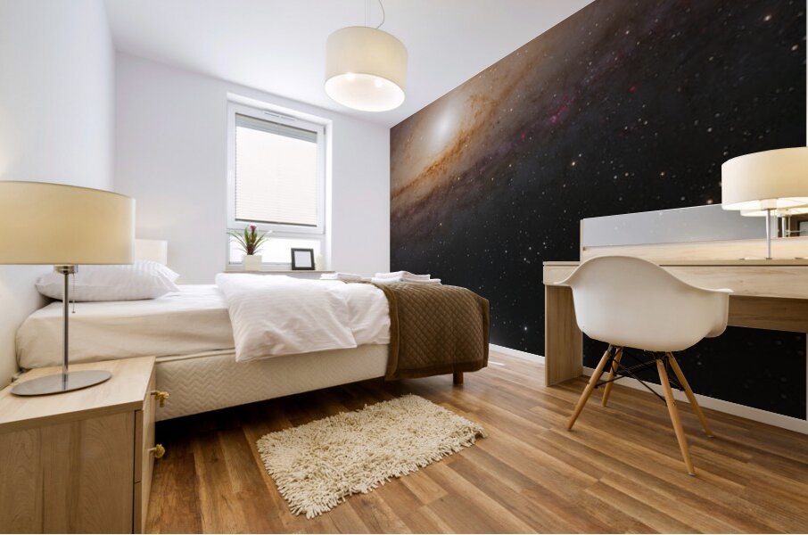 David and Goliath — M110 and the Andromeda Galaxy Mural print
