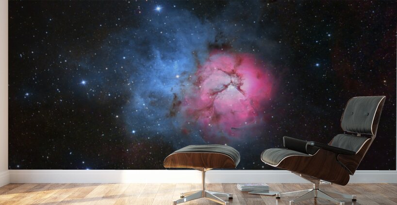 Trifid Nebula - M20 Wall Murals