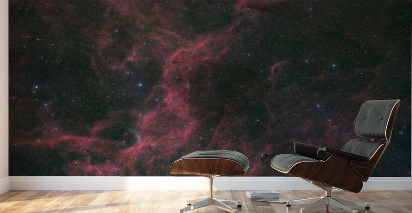 Crescent Nebula Wolf-Rayet 134 & Tulip Nebula - NGC 6888 - WR 134 - Sh2-101 Wall Murals