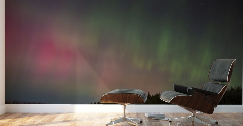 Oliphant Fen Aurora Wall Murals