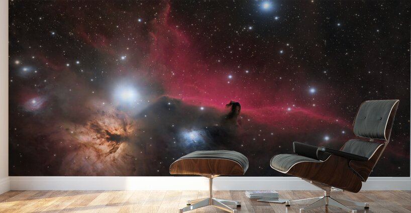 Horsehead & Flame Nebulae - IC 434 - NGC 2024  Wall Murals