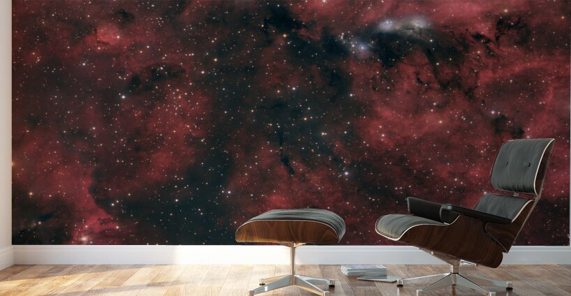 NGC 6914 Wall Murals
