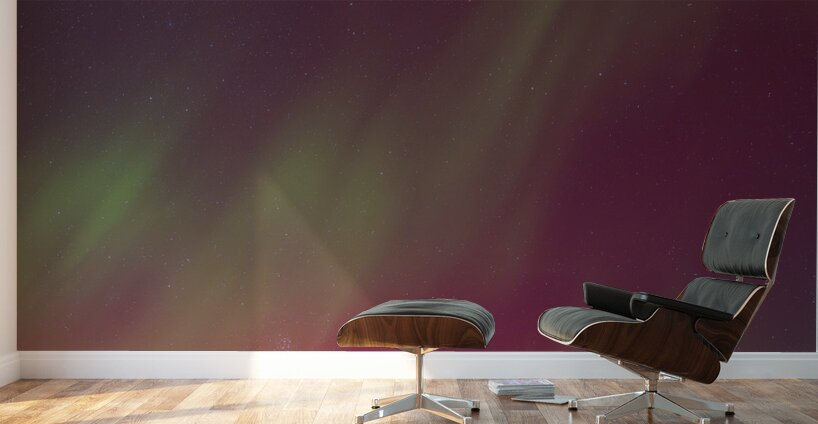 Kemble Tree Aurora Vertorama Wall Murals