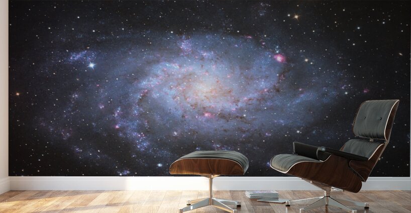 Triangulum Galaxy - M33  Wall Murals