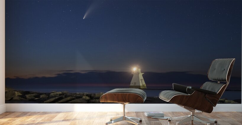 Comet C 2020 F3 - NEOWISE Wall Murals