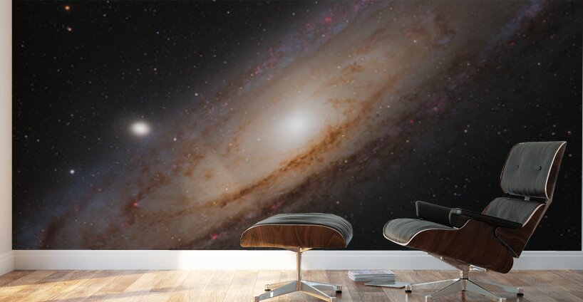 Andromeda Galaxy - M31 - 2024 Wall Murals
