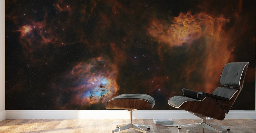 Flaming Star Tadpoles & Spider Nebulae - IC 405 - IC 410 - IC 417 Wall Murals