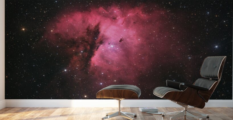 Pacman Nebula - NGC 281 Wall Murals
