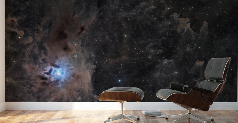 Iris & Ghost Nebulae - NGC 7023 - vdB 141 Wall Murals