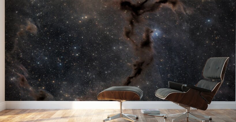 Seahorse Nebula - Barnard 150 Wall Murals