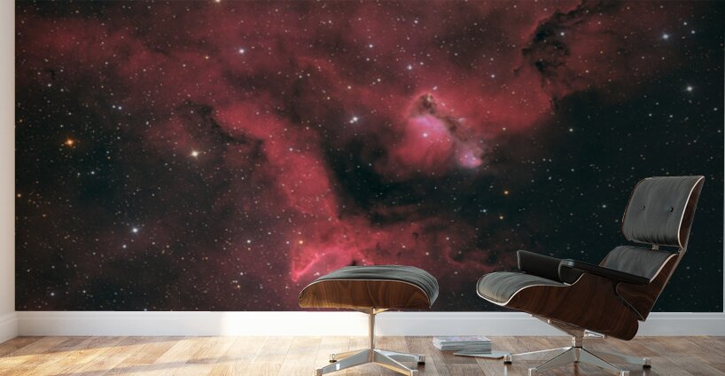 Soul Nebula - IC 1848 Wall Murals