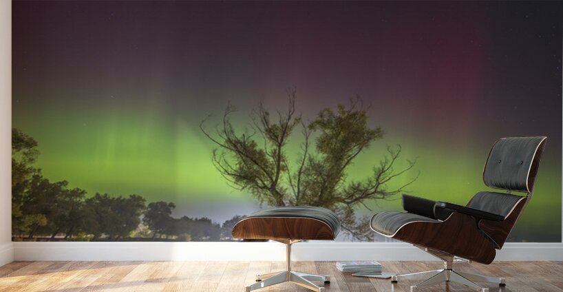 Summerfolk Tree Aurora Wall Murals