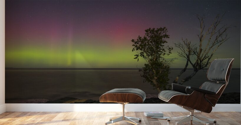 Rush Cove Aurora Wall Murals