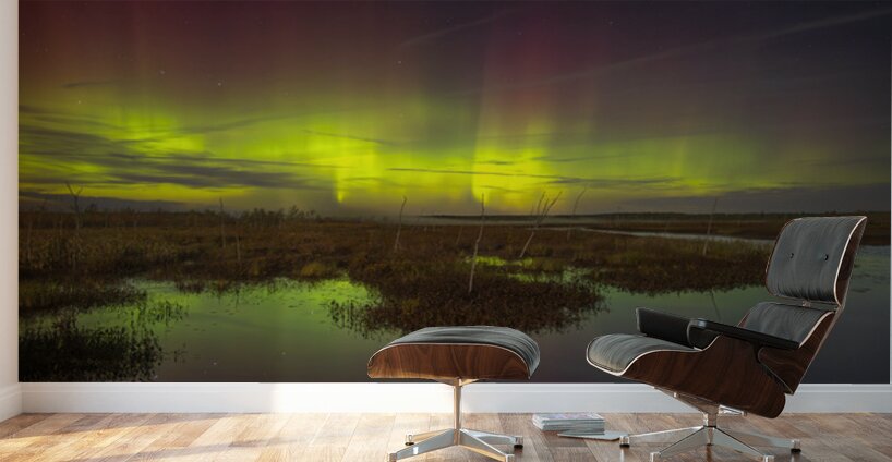 Rankin River Aurora Wall Murals