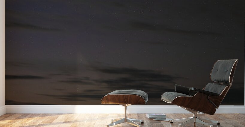 Comet Lemmon from Hibou Wall Murals
