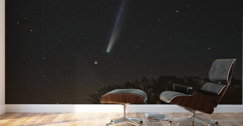 Comet Lemmon from Cobble Beach Wall Murals
