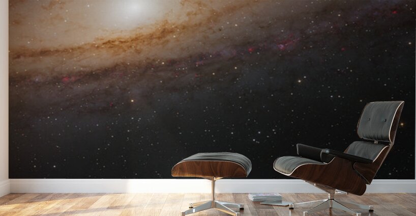 David and Goliath — M110 and the Andromeda Galaxy Wall Murals