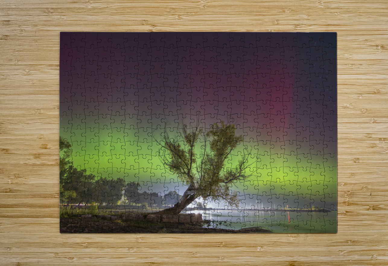 Summerfolk Tree Aurora Dean MacDonald Photos Puzzle printing