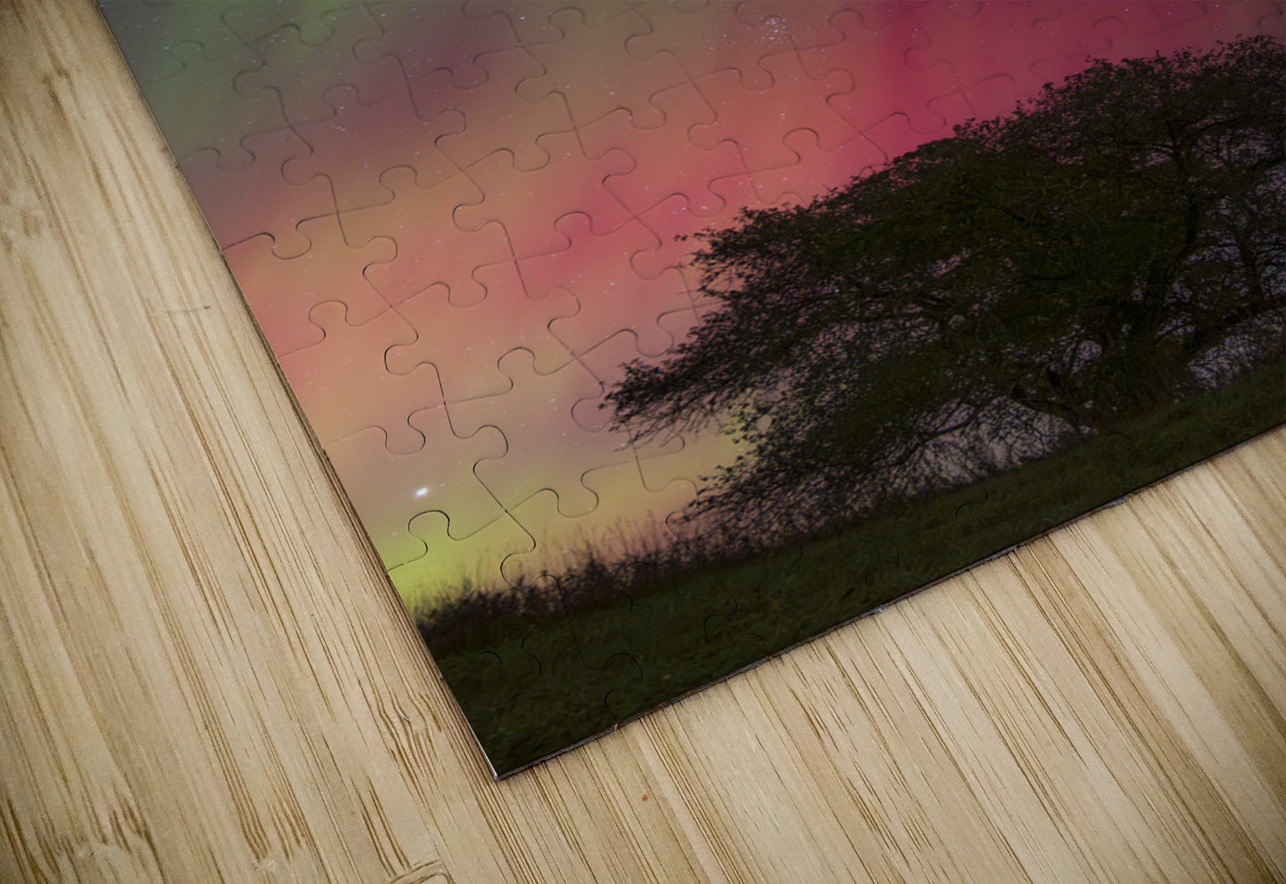Kemble Tree Aurora Vertorama Dean MacDonald Photos Puzzle