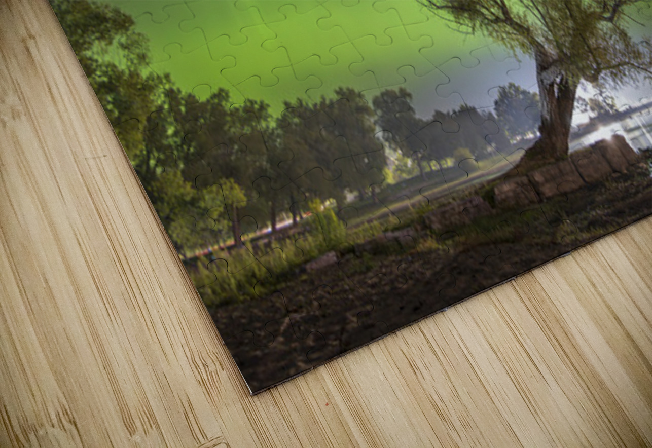 Summerfolk Tree Aurora Dean MacDonald Photos Puzzle